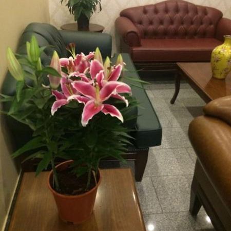 Uenver Hotel 阿达纳 外观 照片