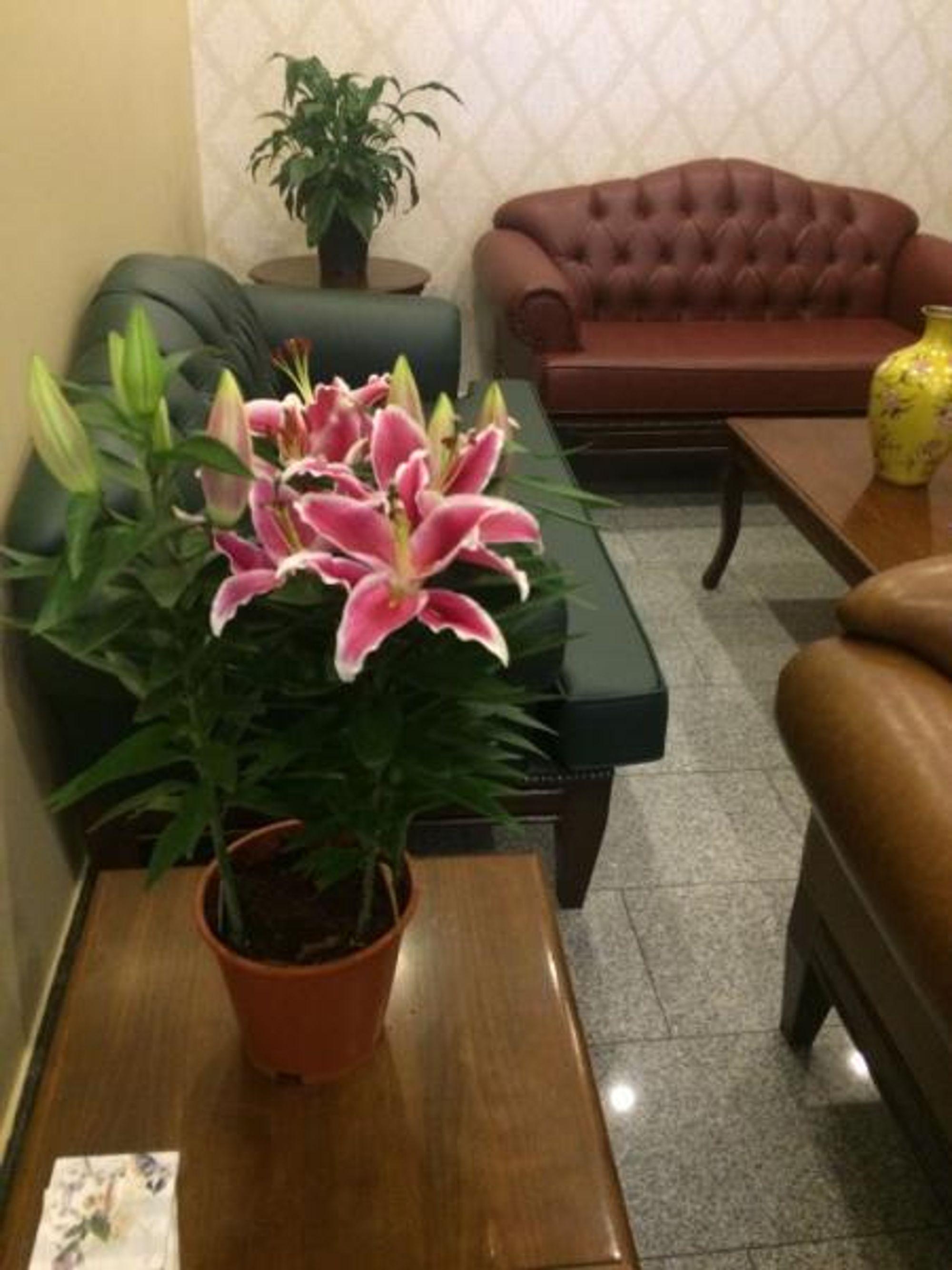 Uenver Hotel 阿达纳 外观 照片